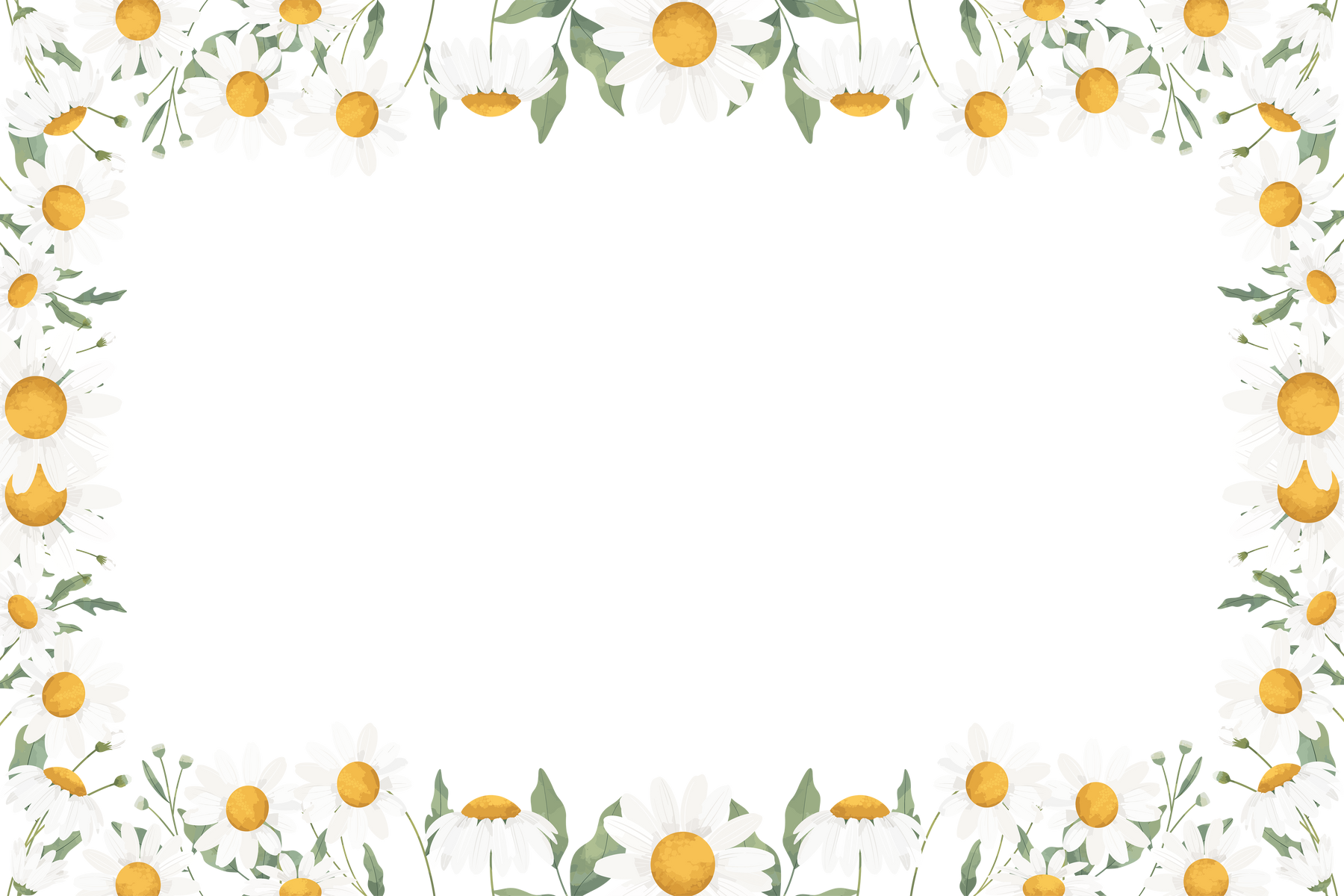 Daisy Flower Frame Background